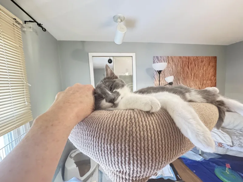 Beatrice thumbnail 3