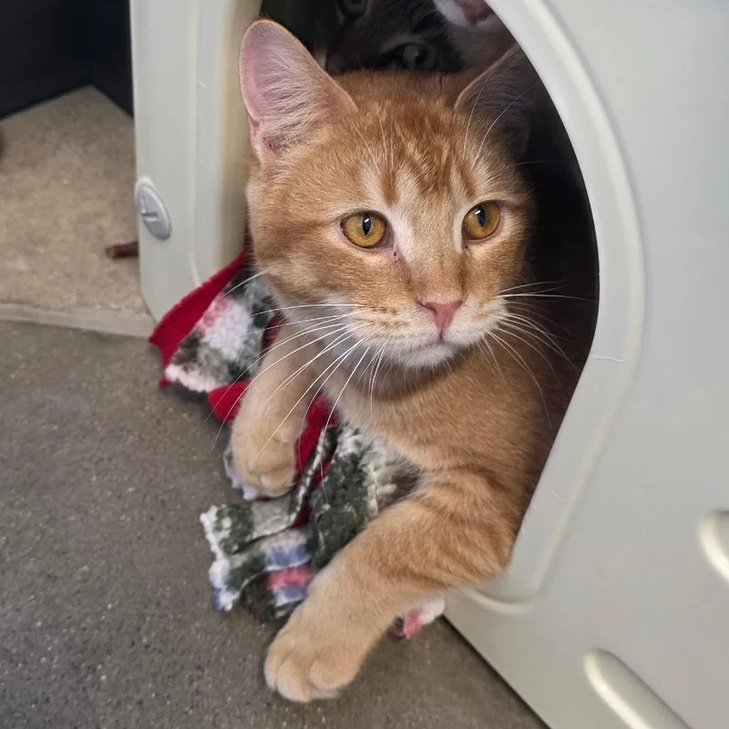 Bill Nye thumbnail 3