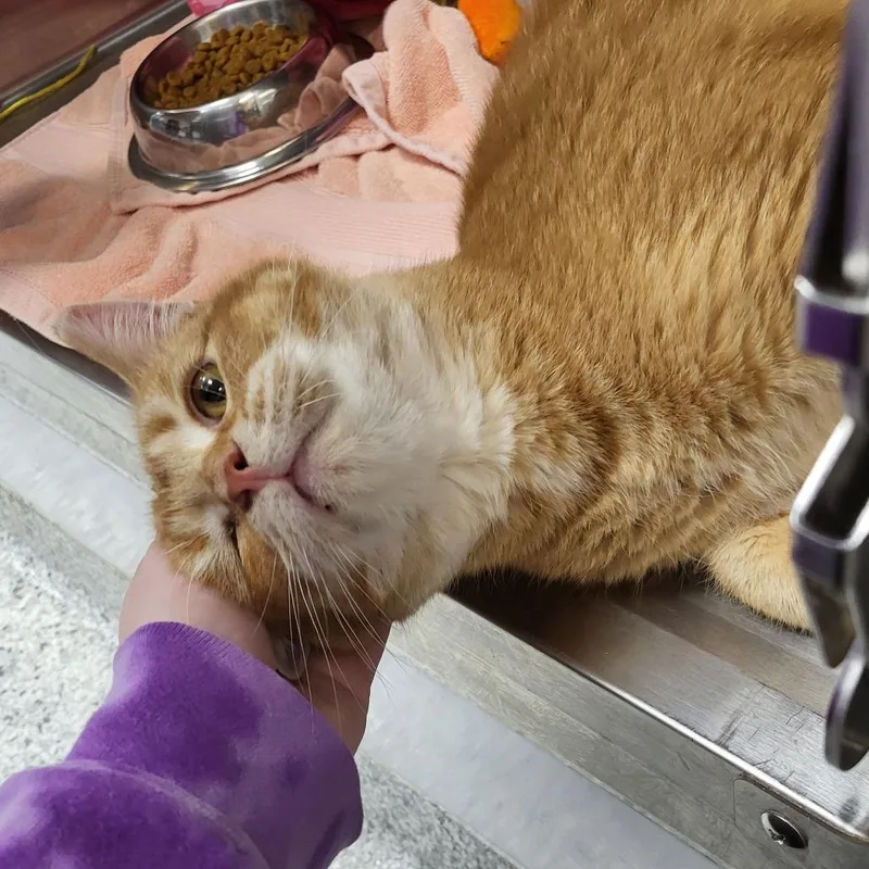 Bill Nye thumbnail 4