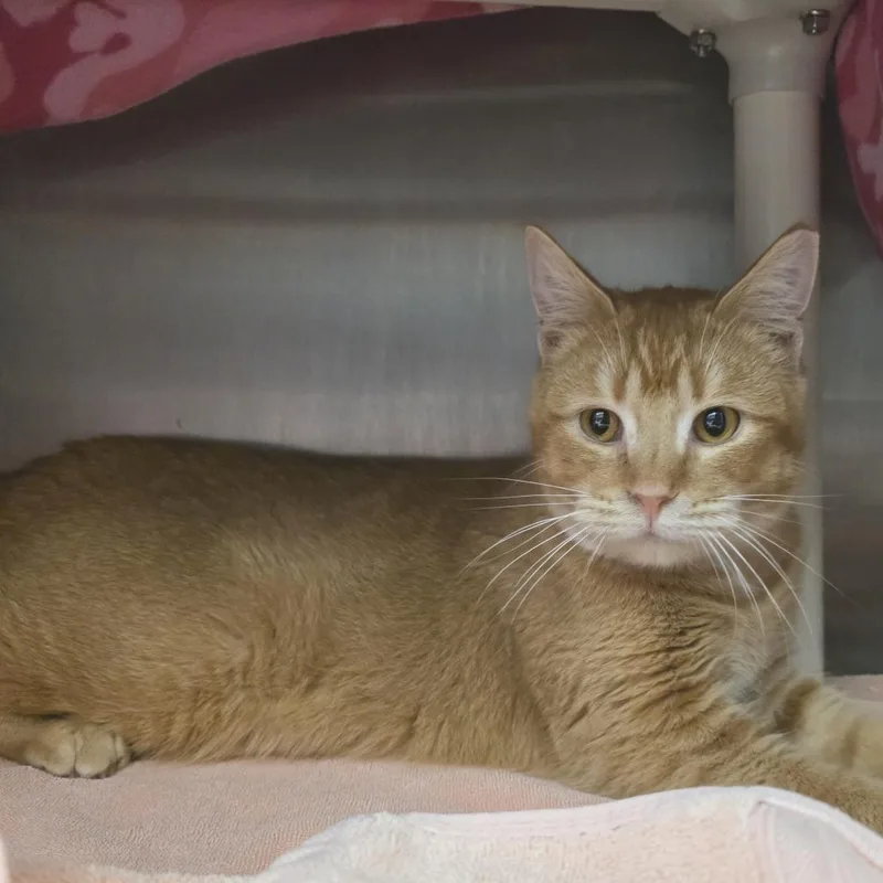 Bill Nye thumbnail 5