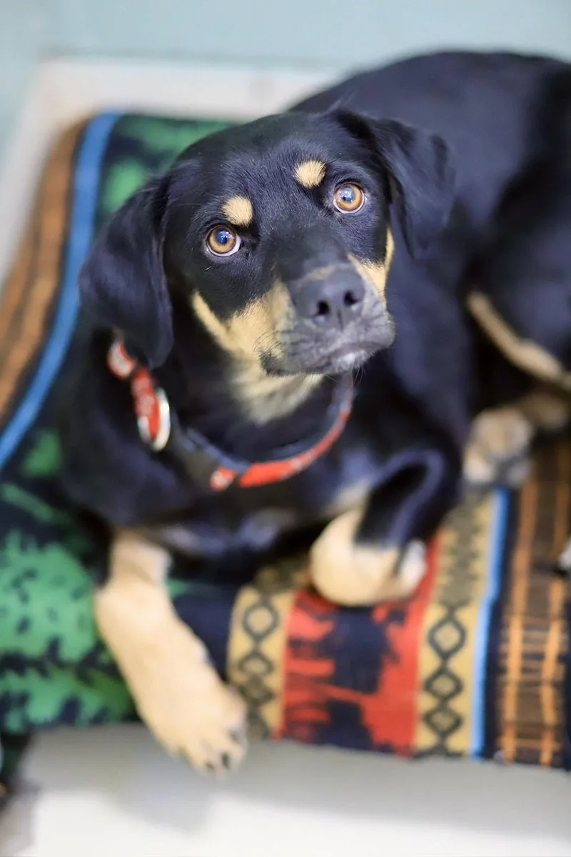 Mercedes thumbnail 3