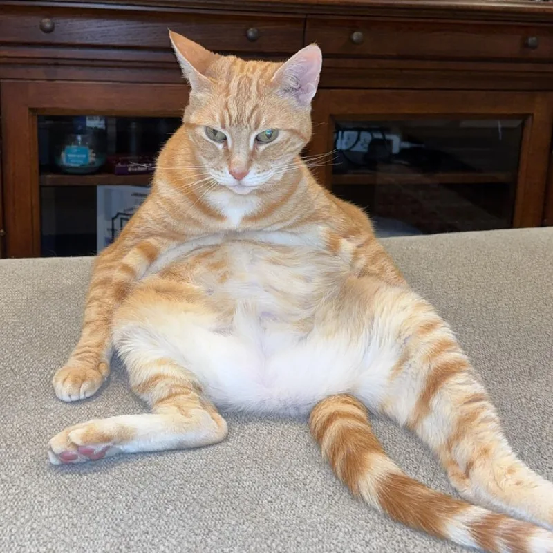 Ms. Norbury thumbnail 2