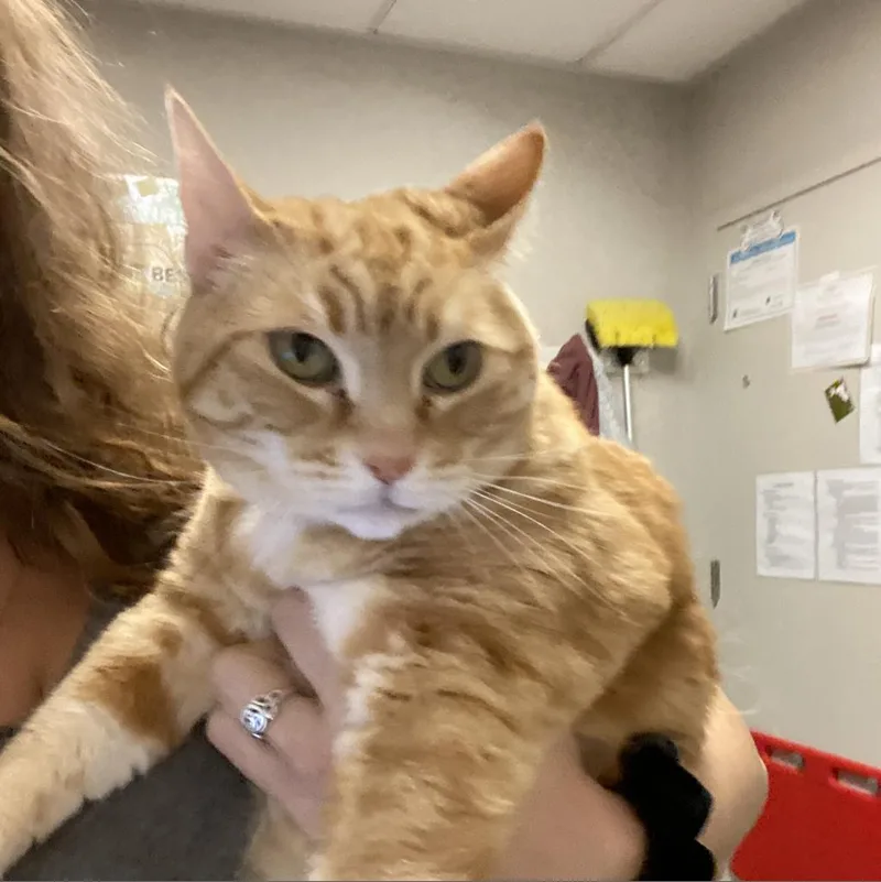 Ms. Norbury thumbnail 3