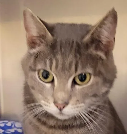 Sally O`malley thumbnail 2