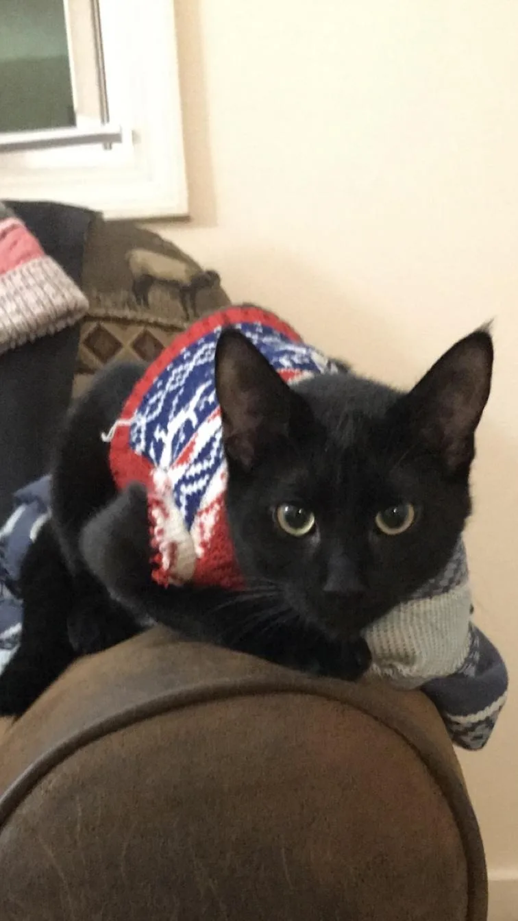 Pepper Courtesy Listing