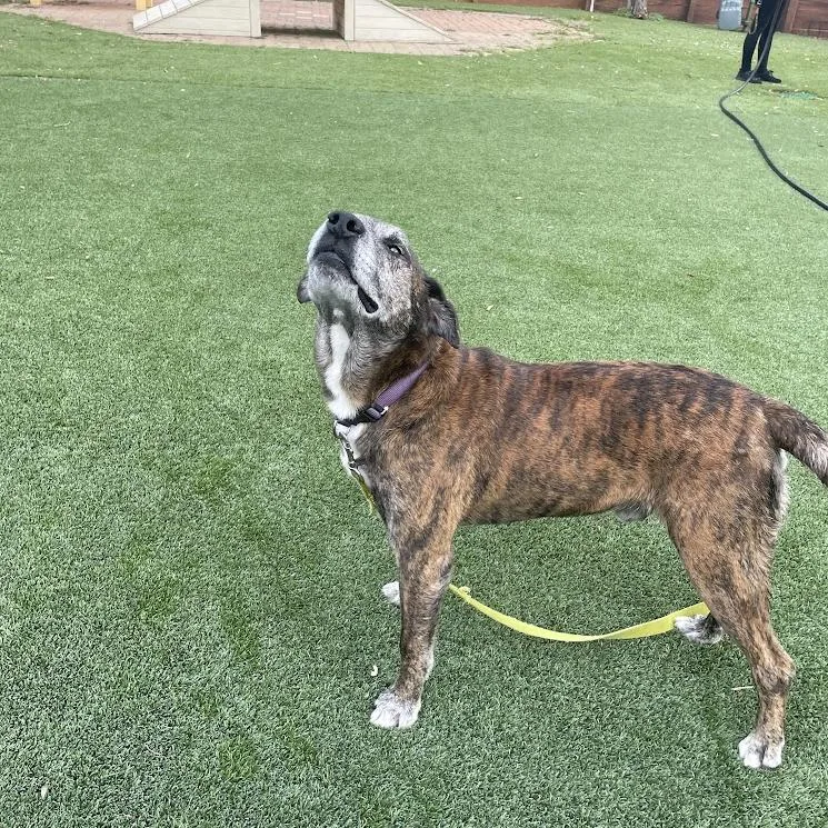 Ron Wesley thumbnail 3