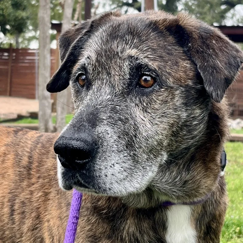 Ron Wesley thumbnail 4