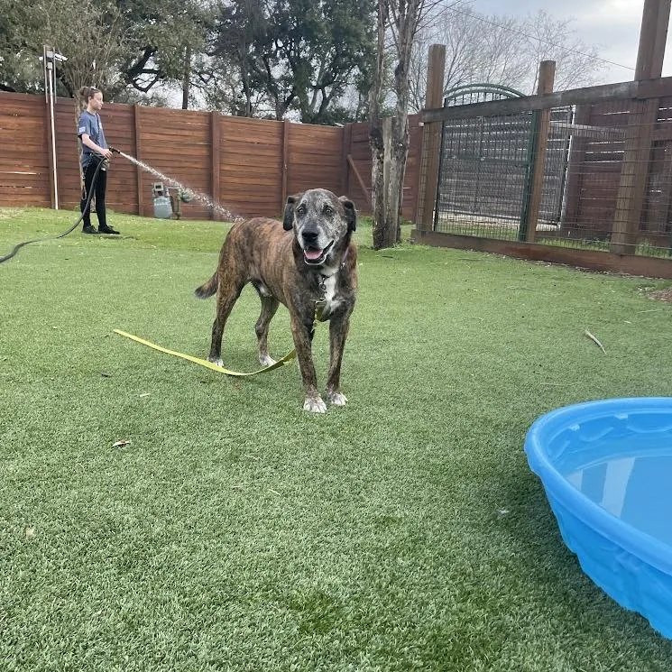 Ron Wesley thumbnail 5