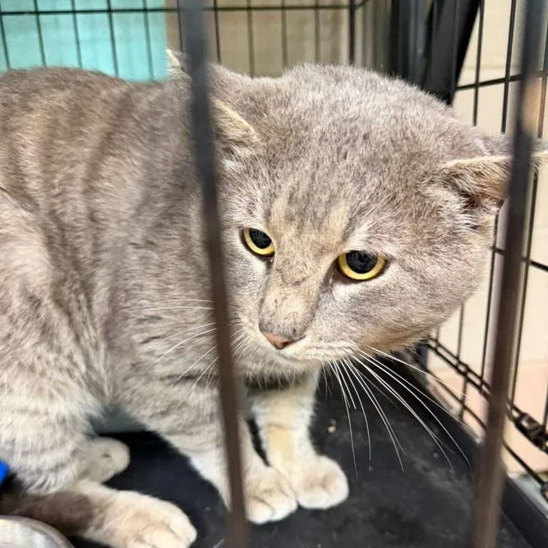 Wilbanks thumbnail 2