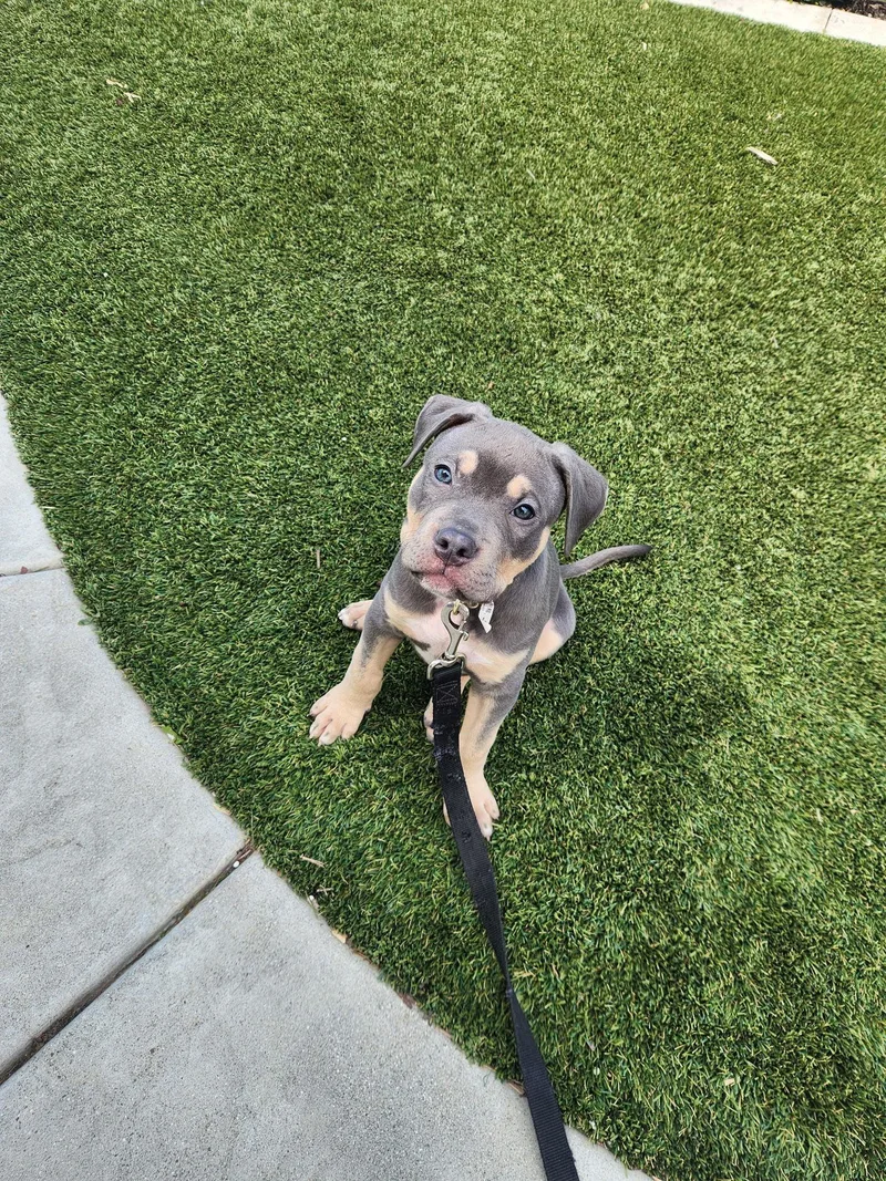 Kingston thumbnail 3