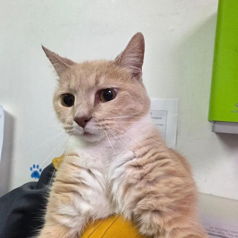 Sunshine thumbnail 2