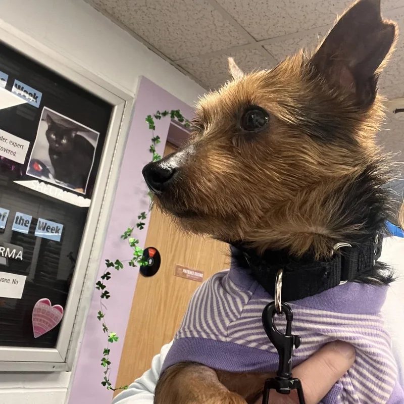 Hannah Montana thumbnail 2