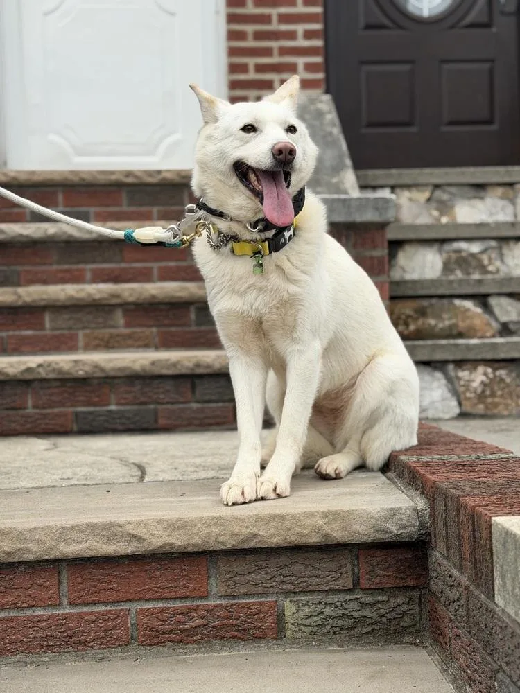 Jung Da Jung thumbnail 4