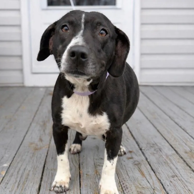 Mama M'lynn thumbnail 2