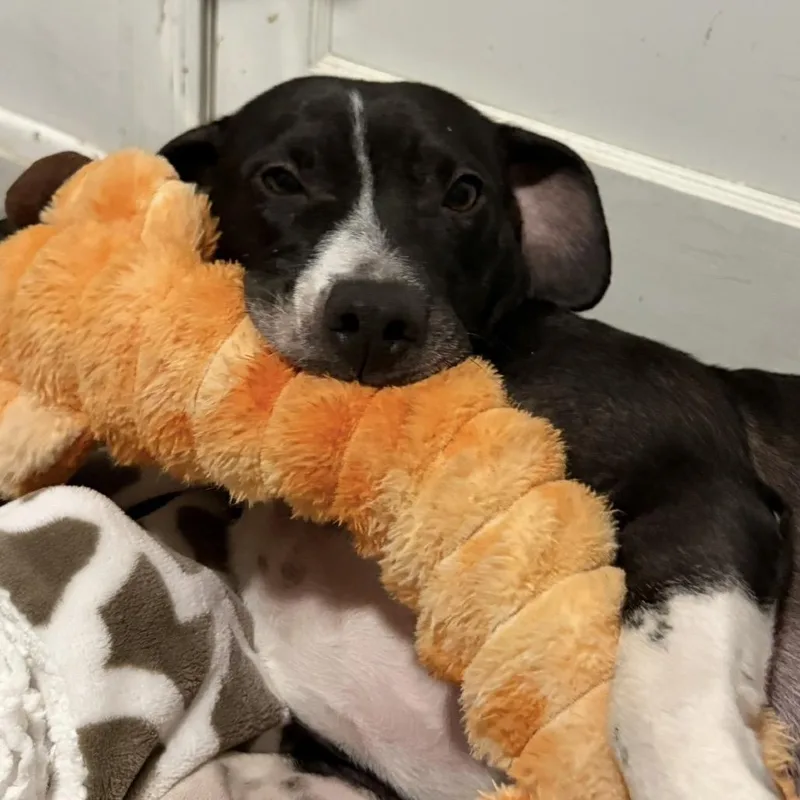 Mama M'lynn thumbnail 3