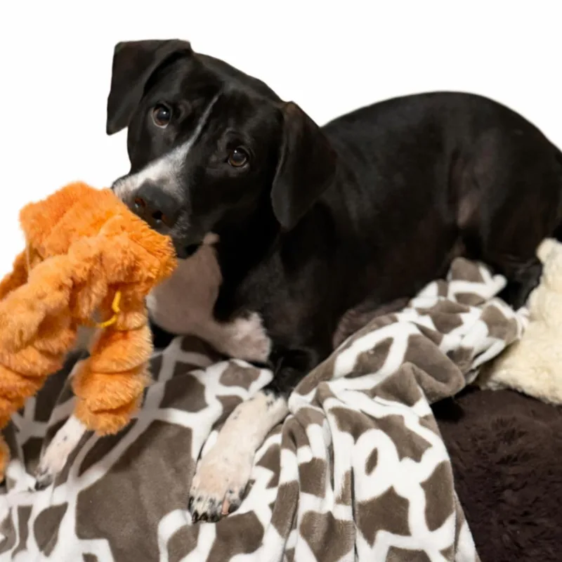 Mama M'lynn thumbnail 4