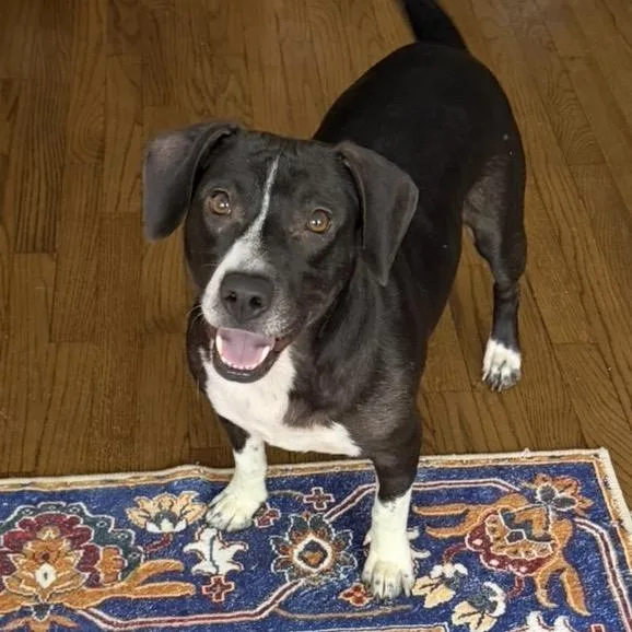 Mama M'lynn thumbnail 5