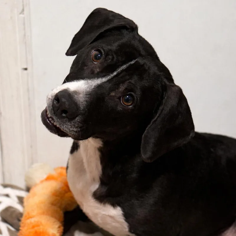 Mama M'lynn thumbnail 6