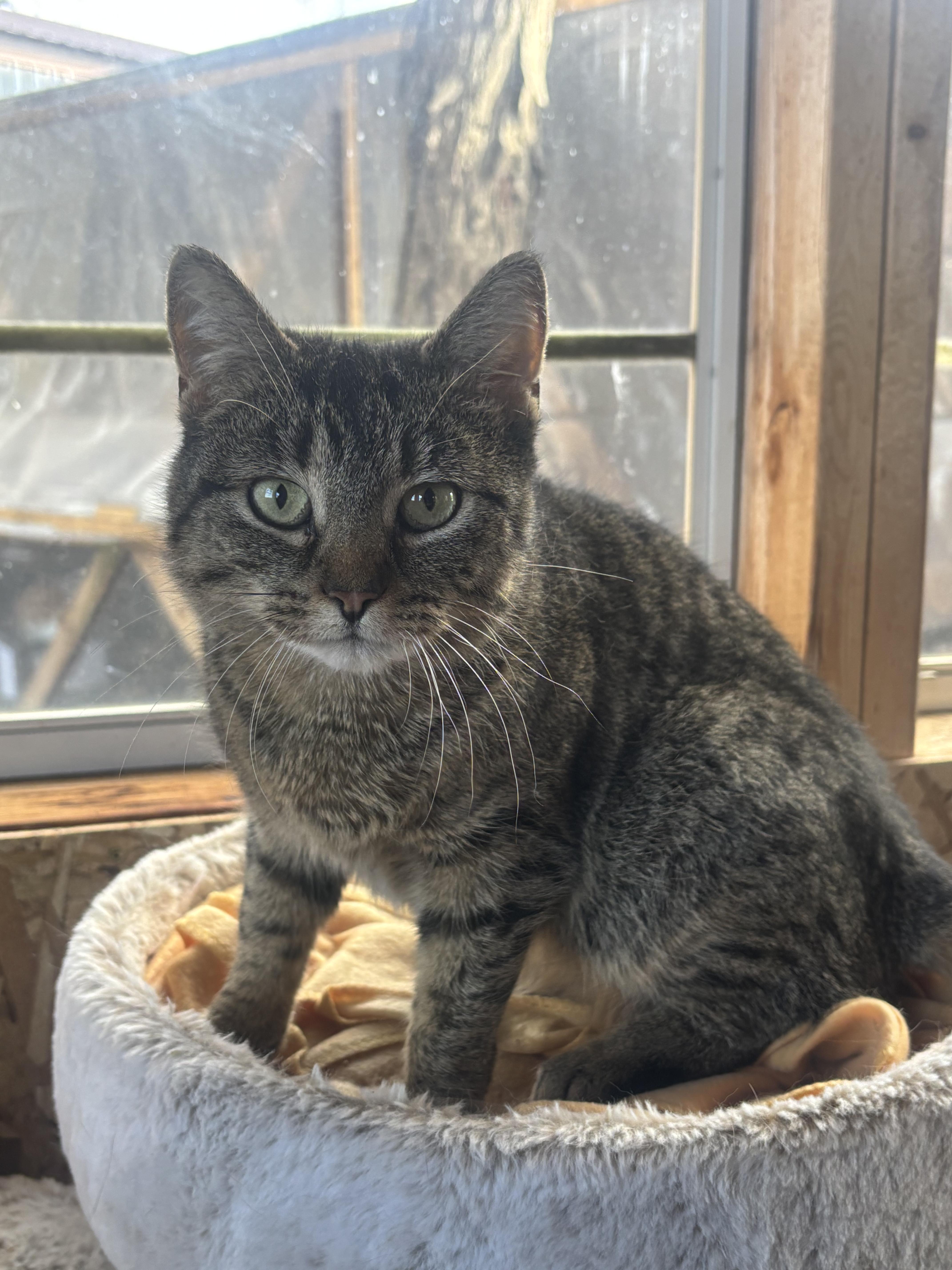 Lucy Felv+ thumbnail 2