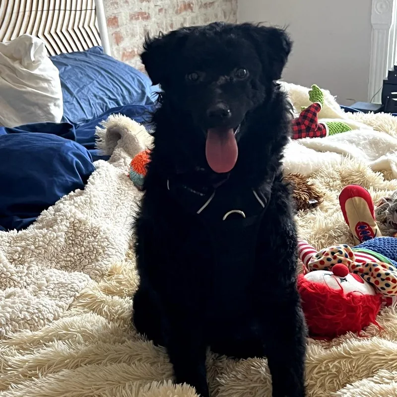 Willamina thumbnail 3