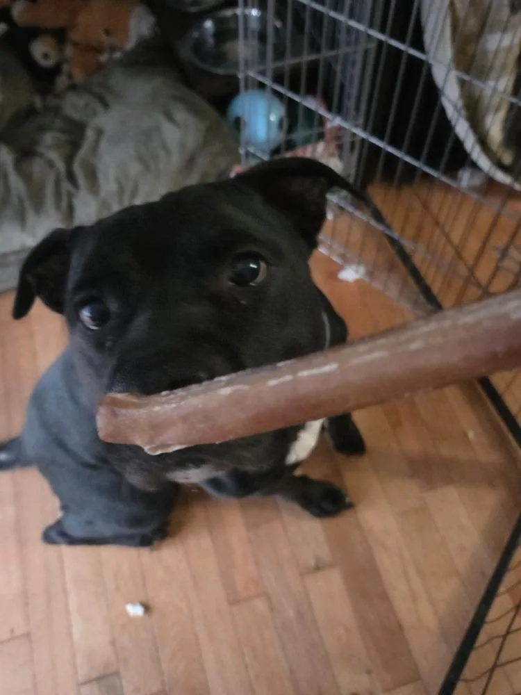 Mr. Crowley thumbnail 3