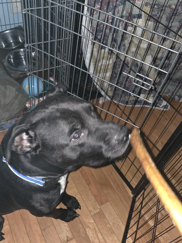 Mr. Crowley thumbnail 6