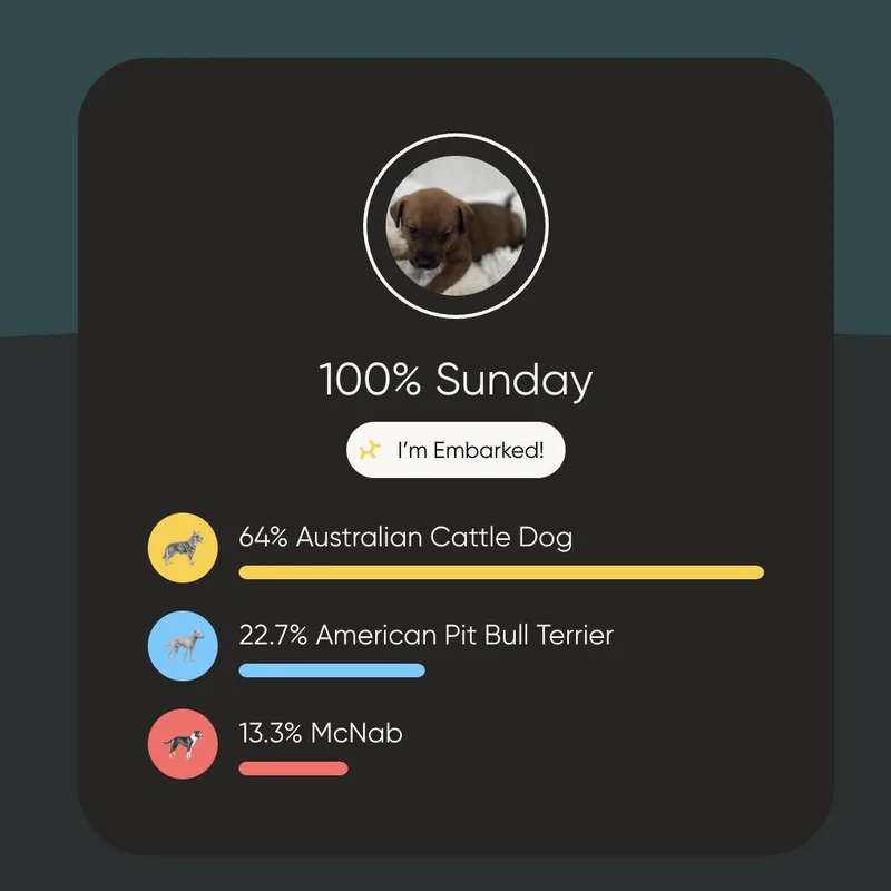 Wednesday thumbnail 2