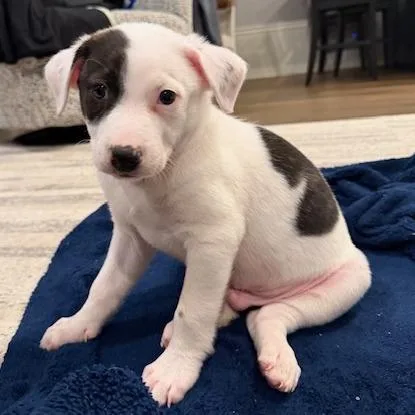 Wednesday thumbnail 3