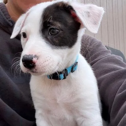 Wednesday thumbnail 4