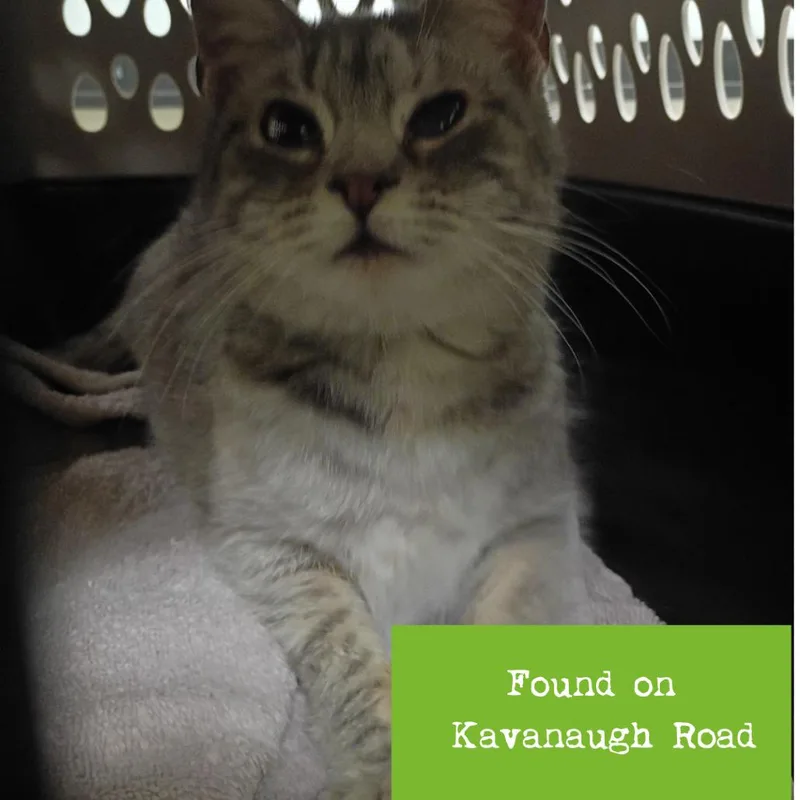 Lauryn Hill thumbnail 2