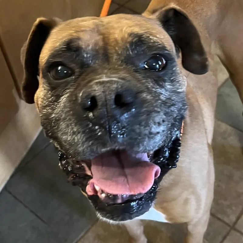 Mike Tyson thumbnail 5