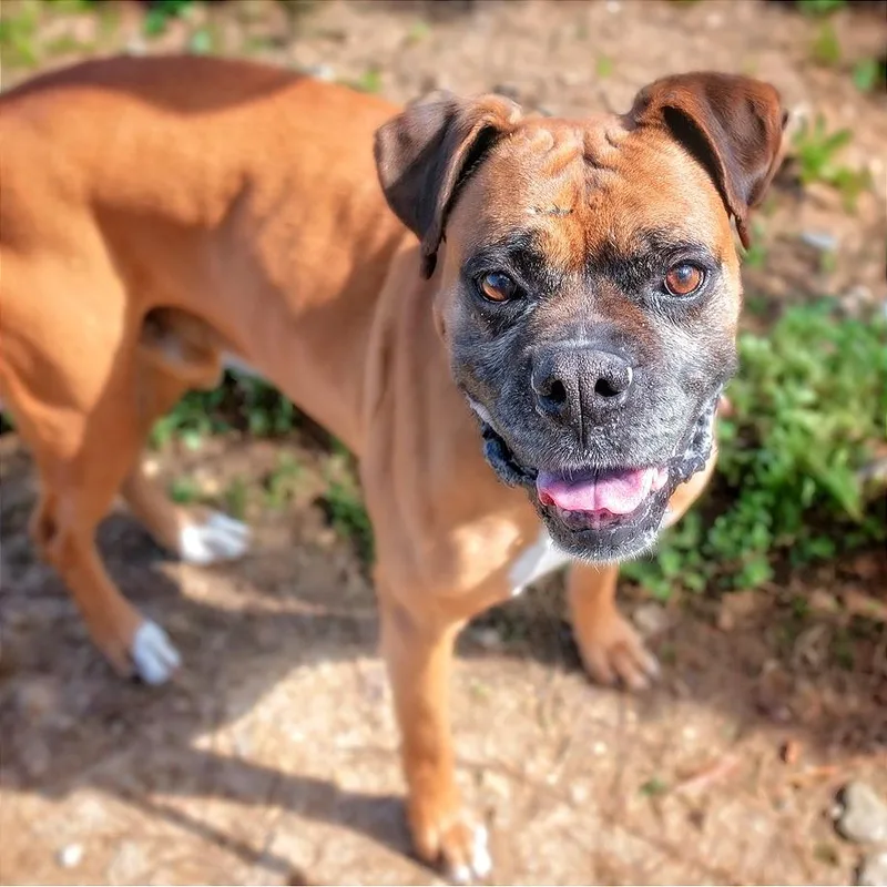 Mike Tyson thumbnail 6