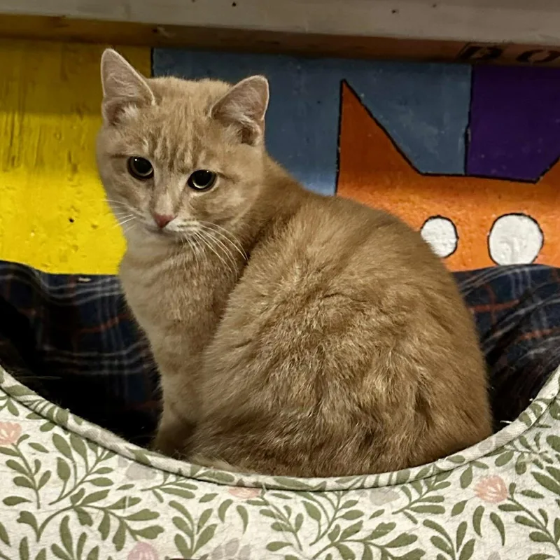 Marco And Polo thumbnail 5