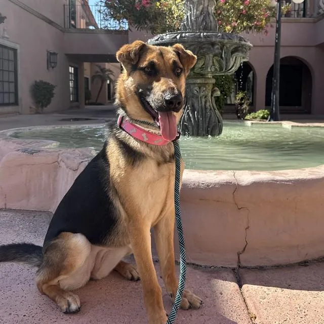 Mary Poppins photo 1