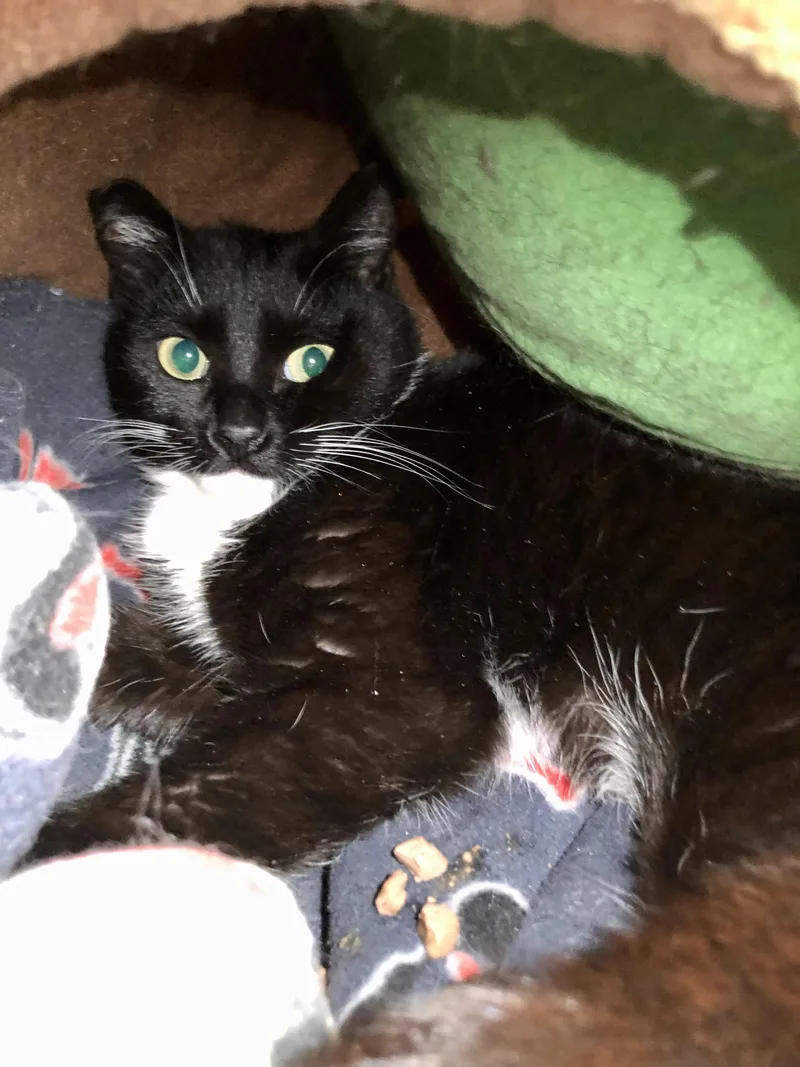 Endicott thumbnail 2