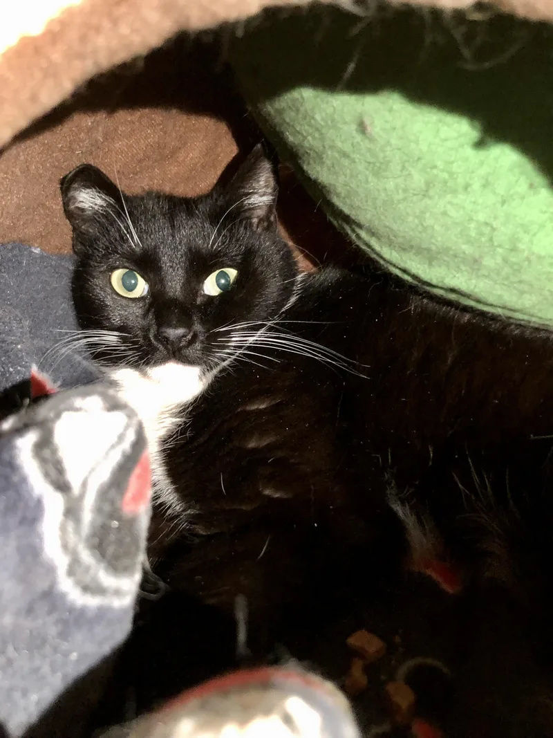 Endicott thumbnail 3