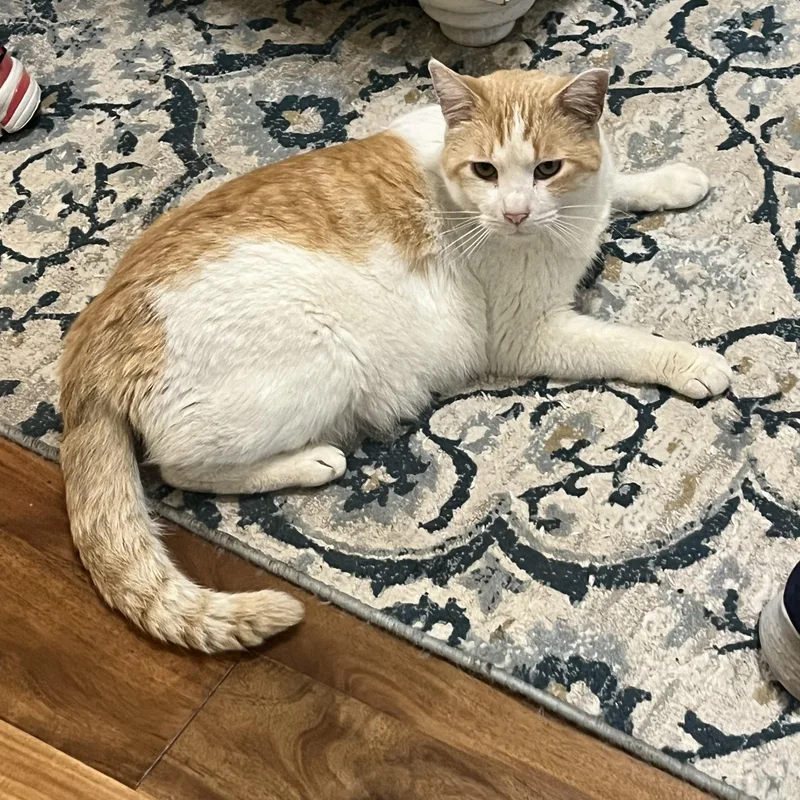 Terrence thumbnail 2