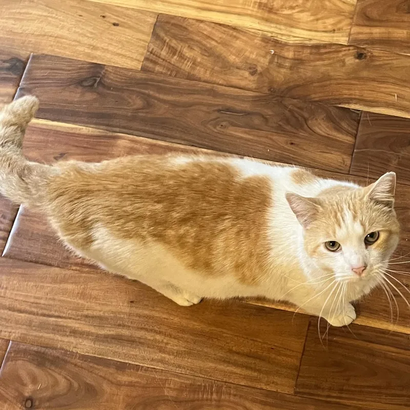 Terrence thumbnail 3