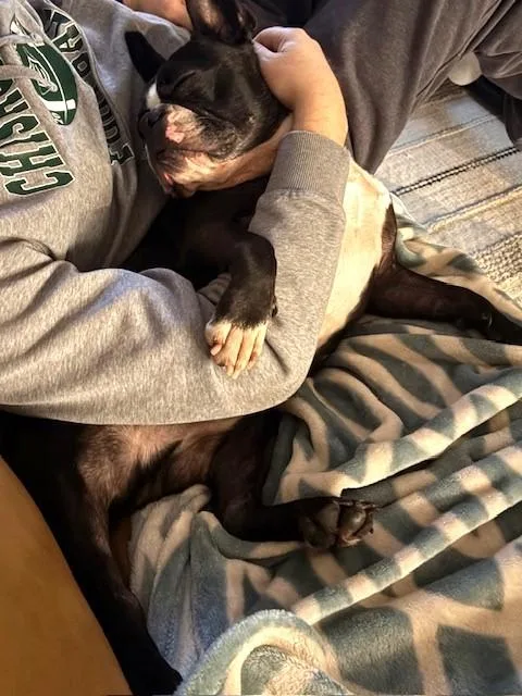 Bug In Mn thumbnail 2