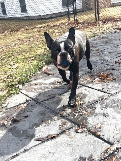 Bug In Mn thumbnail 3