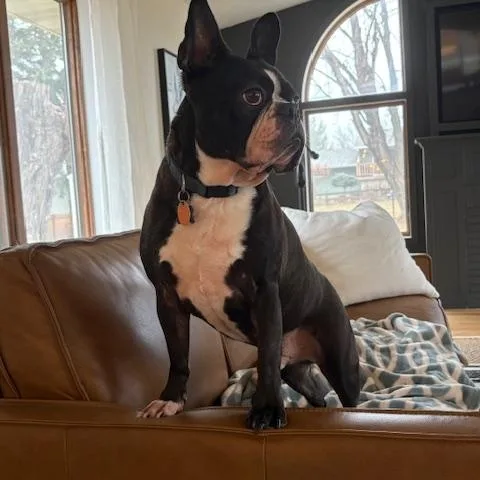 Bug In Mn thumbnail 5