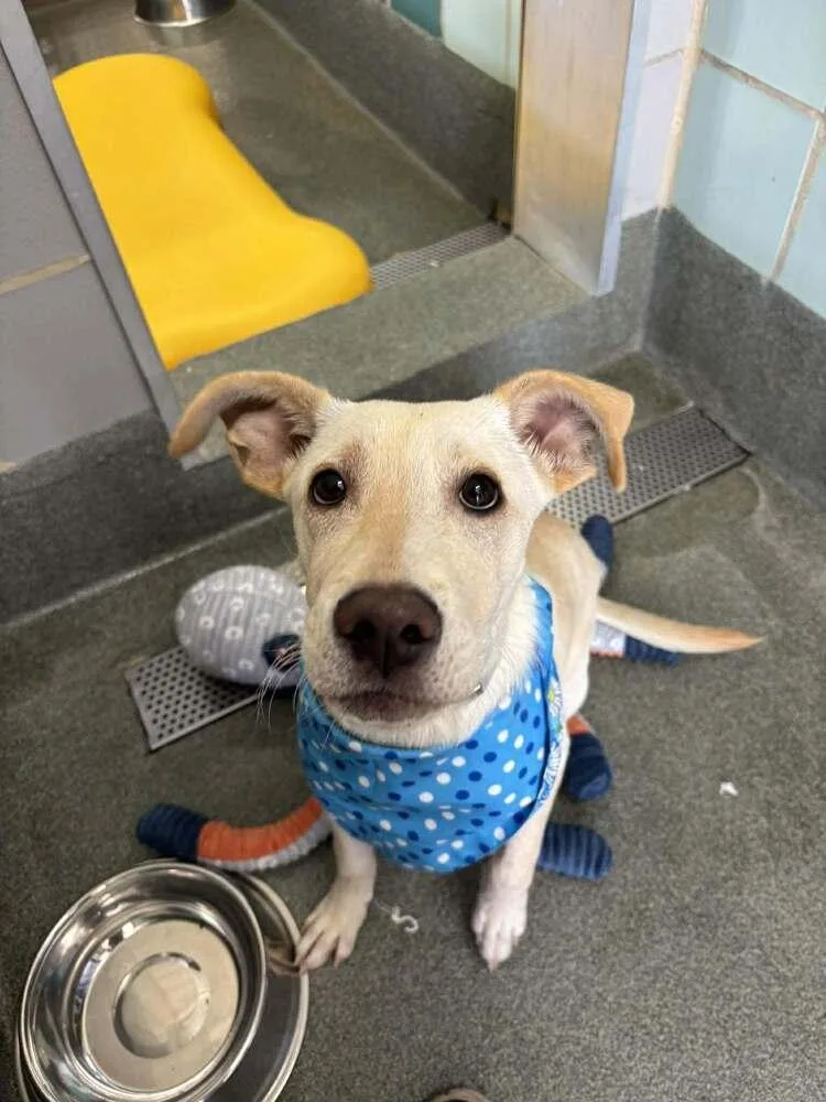 Chrisstiee  Tonka thumbnail 3