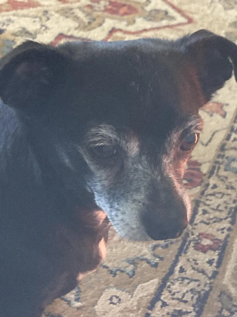 Cracker Jack thumbnail 2