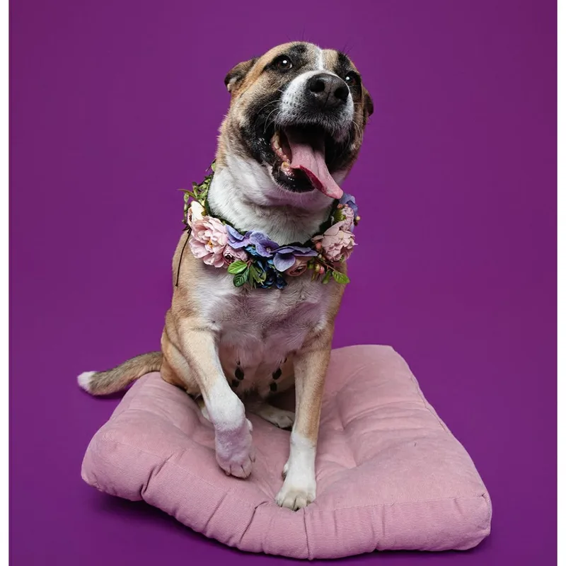 Faith Gs thumbnail 5