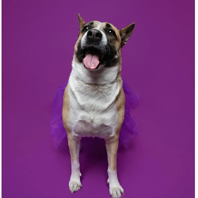 Faith Gs thumbnail 6