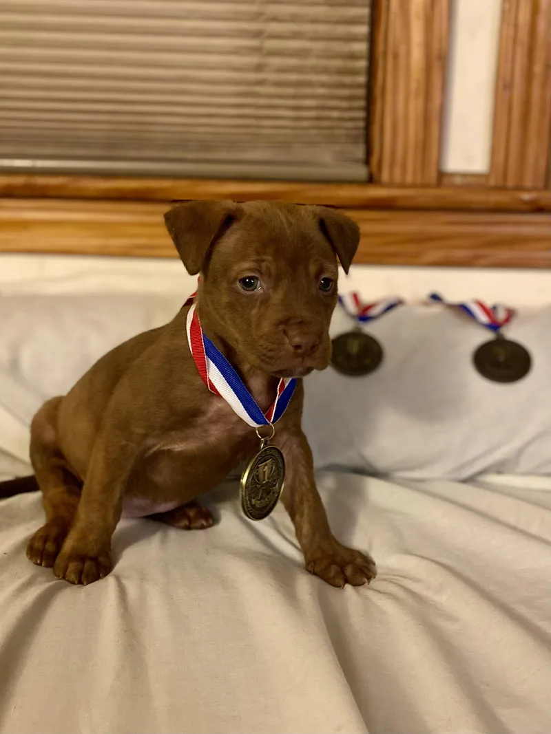 Breezy Johnson thumbnail 2