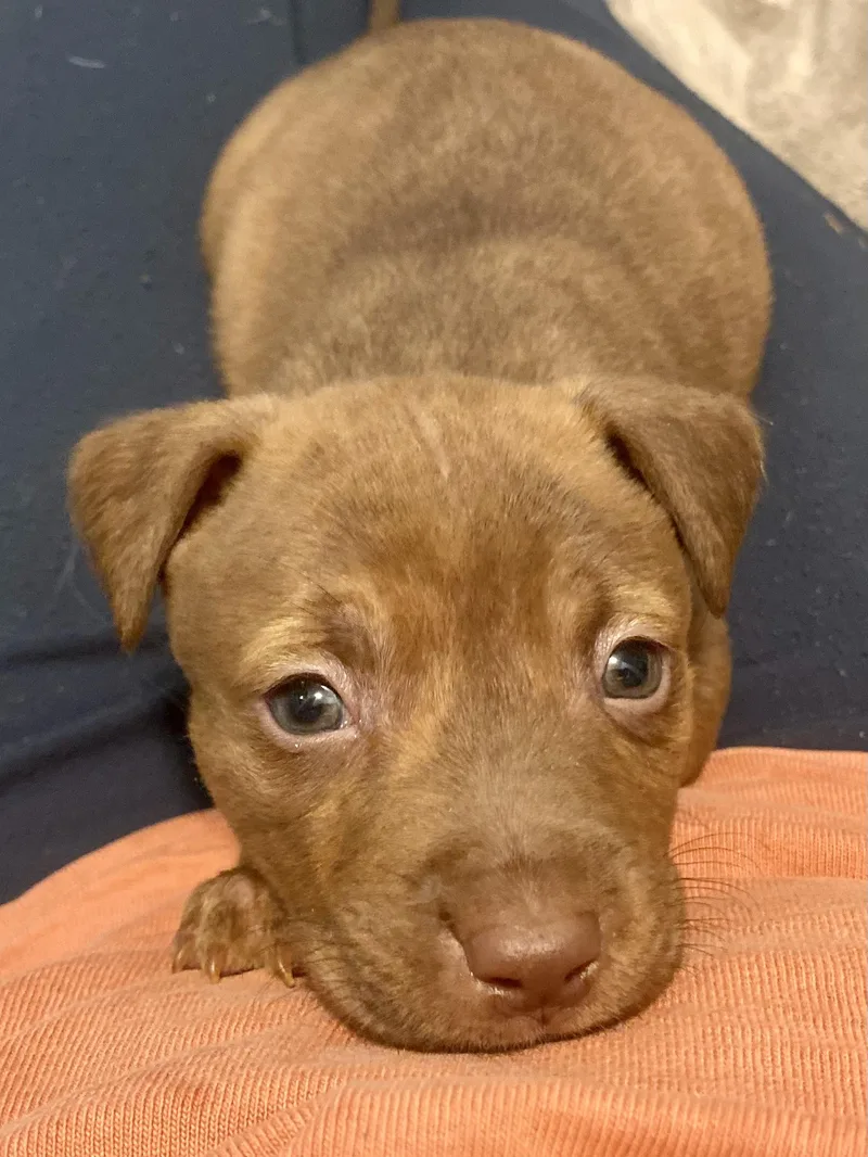 Breezy Johnson thumbnail 3