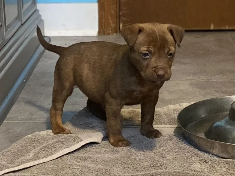 Breezy Johnson thumbnail 4