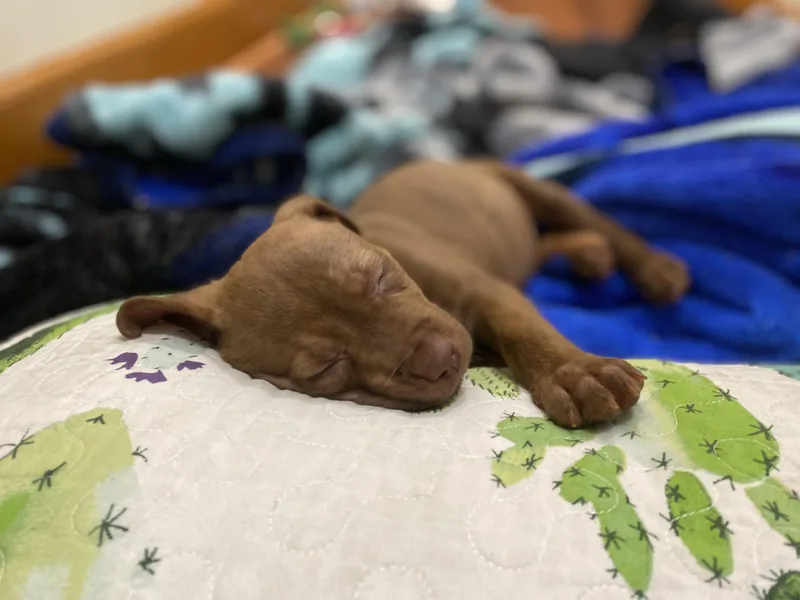 Breezy Johnson thumbnail 5