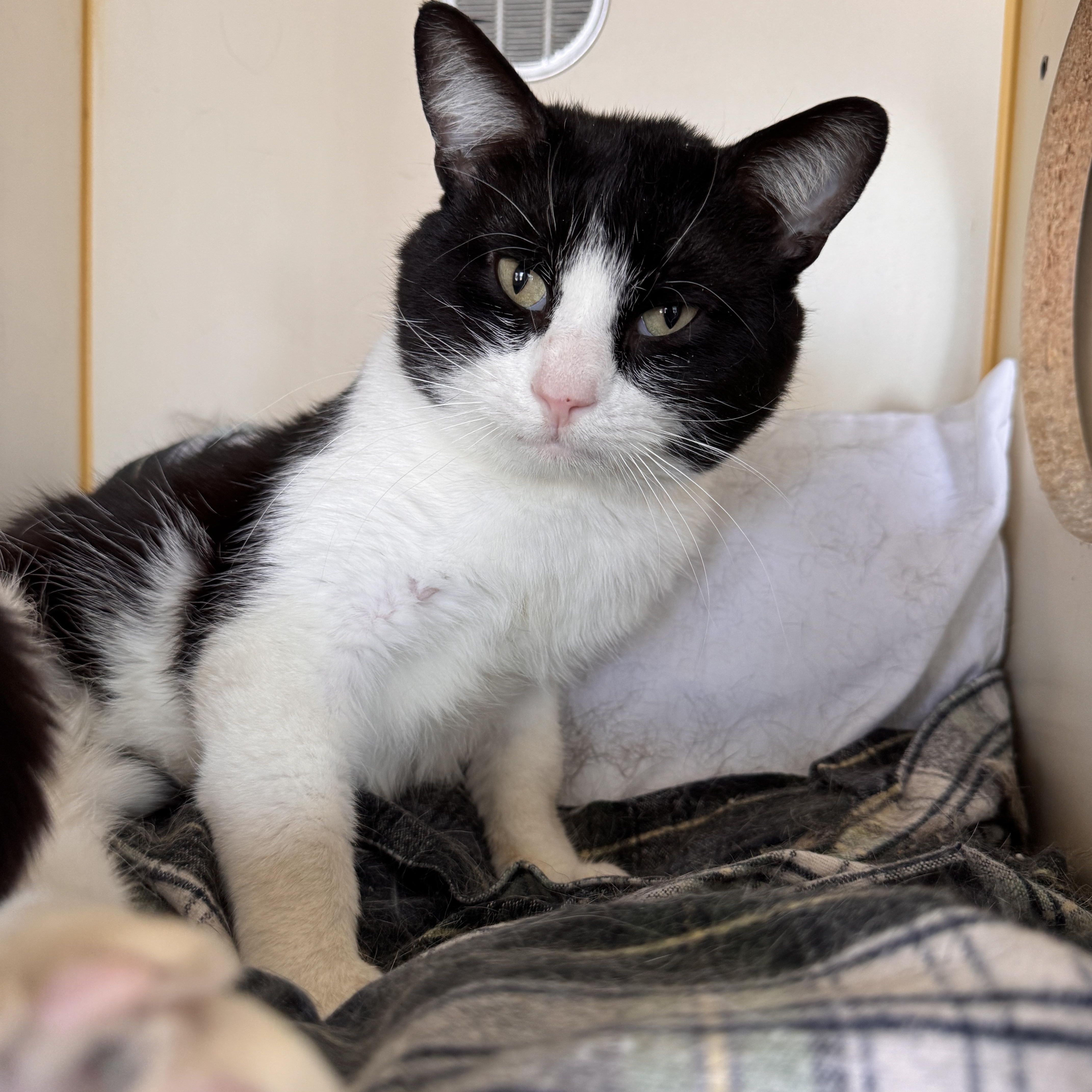 Champagne thumbnail 2